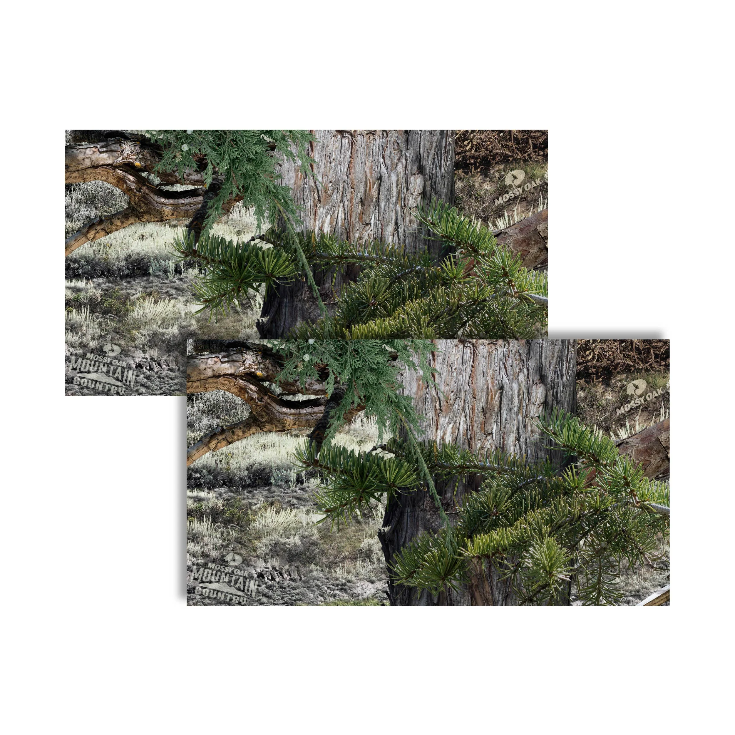 Thumbnail 26