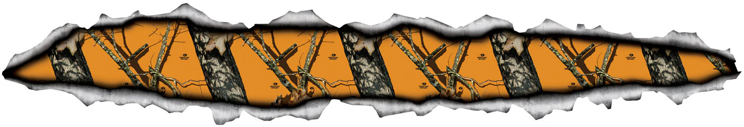 Thumbnail 15