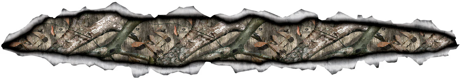 Thumbnail 23